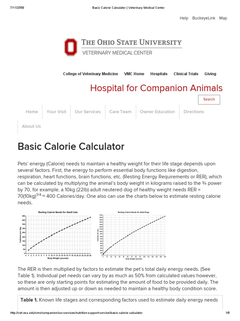Basic Calorie Calculator For Dog Download Free PDF Food Energy Dogs