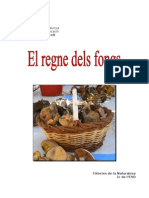 El Regne Dels Fongs