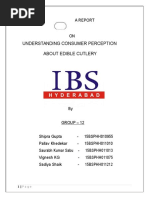 Download Market Research on Edible Cutlery by Vignesh Kg SN323619995 doc pdf