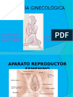 Fin Patologia