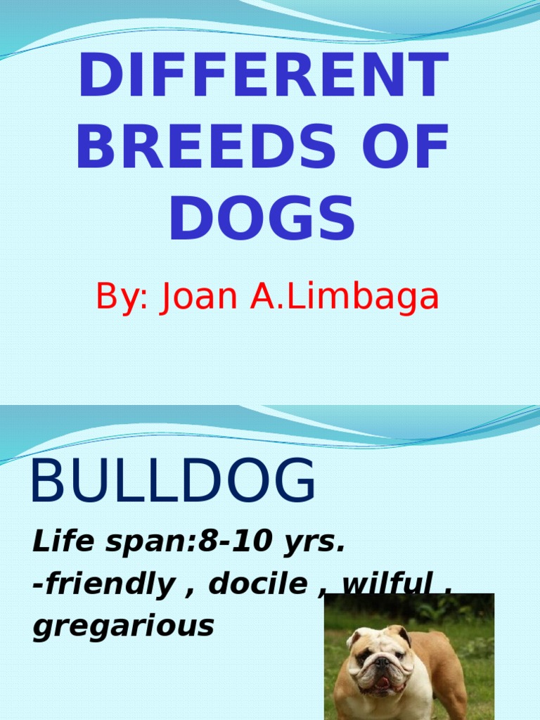 Different Breeds of Dogs | PDF