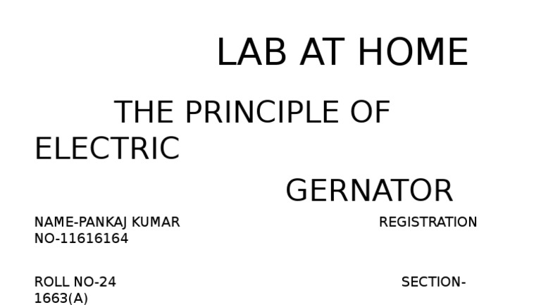 DIY Electric Generator Guide | PDF