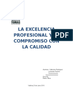 La Excelencia Profesional y El Compromiso Con La Calidad