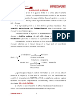 GLUCOGENESIS -Glucolisis-Vía de Ac. Uronicos.pdf