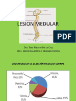 Neuroanatomia Medular