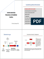Genetica RESUMIDA PDF
