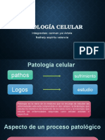 Patología Celular