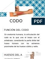 CODO