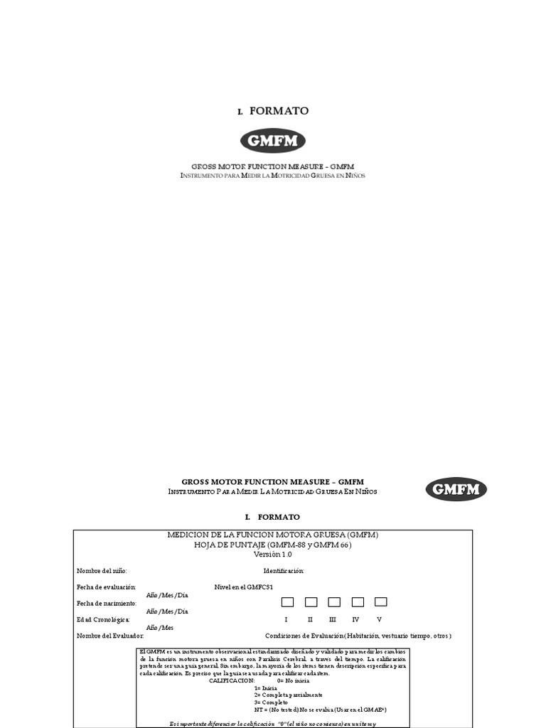 Formato de Gross Motor Function Measure PDF | PDF | Software