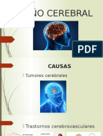 Daño Cerebral Ppt