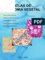 Atlas Anatomía Vegetal