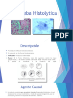 Entamoeba Histolytica