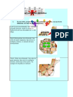 WebQuest sobre REDES Informáticas