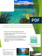Sitios Ramsar y Aicas