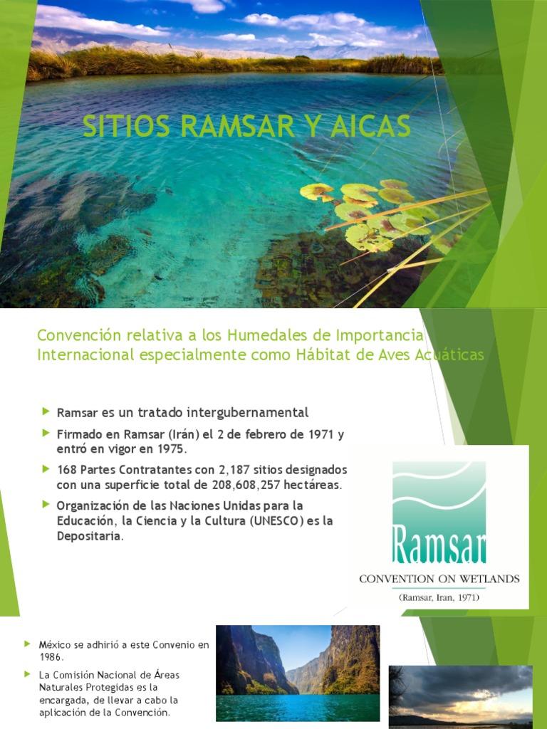 Sitios Ramsar y Aicas