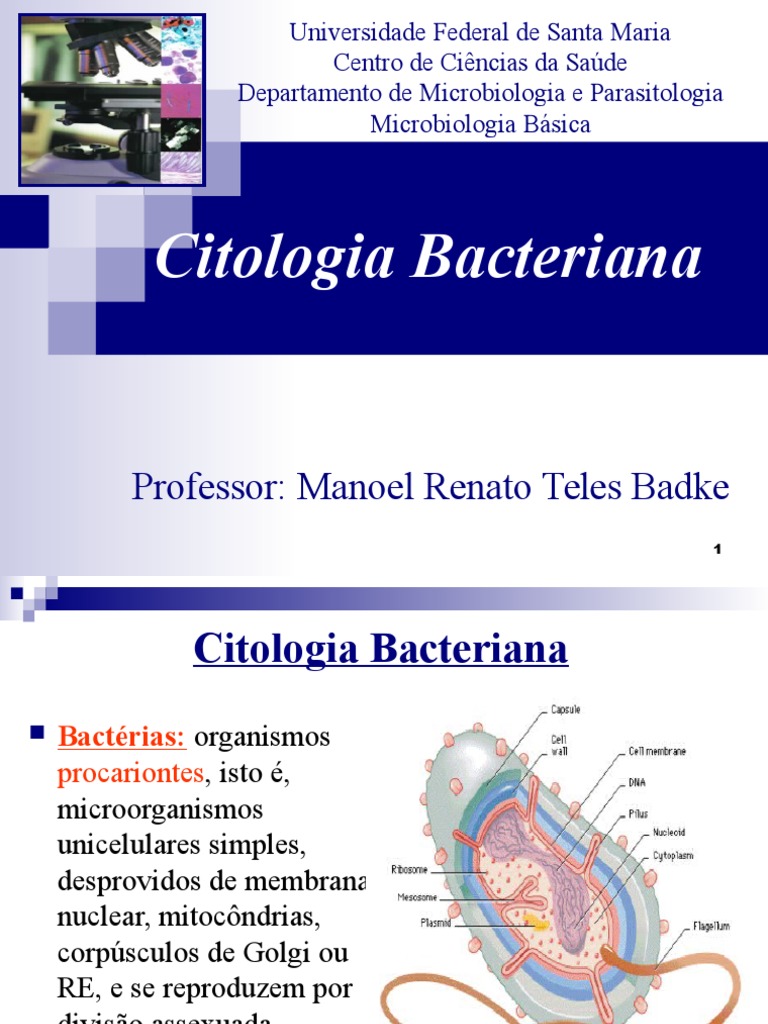 Sobre A Citologia Bacteriana é Correto Afirmar Que