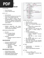 Mcat Mnemonics 2017 Docx Pyruvic Acid Citric Acid Cycle