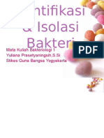 Identifikasi & Isolasi Bakteri: Mata Kuliah Bakteriologi 1 Yuliana Prasetyaningsih, S.Si Stikes Guna Bangsa Yogyakarta