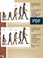 1.8 Million and 250,000 Years Ago - in Early Periods in Africa, H. Erectus Coexisted With Other Species of Earlier Hominids, Such As