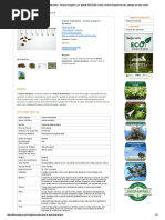 Sementes de Acácia Australiana - Acacia mangium, por apenas R$ 75,00! Compre online! Disponível para entrega em todo o país!.pdf