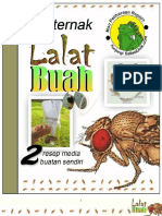 Berternak Lalat Buah