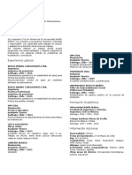 CV Plantilla2016PUP v2