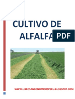 Cultivo de alfalfa - Guía completa