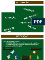 MOTIVAÇÃO 2008 Simples