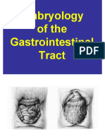 Embryology of The Gastrointestinal Tract