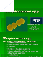 Streptococcus UAP