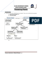 Flowering Plants Lecture One