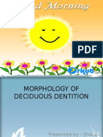 Morphology of Primary Dentition