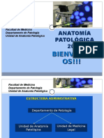 AP - Clase 01 - Historia de La Anatomia Patologica - 15abr15