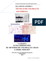 4ªaula Pratica Coloracões Gram Ziehl