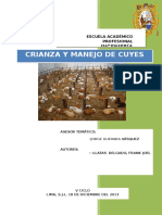 Informe de Cuyes