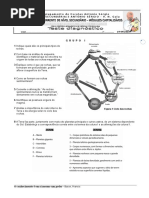 008-teste_diagnc3b3stico.docx