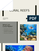 Coral Reefs: Kalynna Davies 30 August 2016 3B Ess