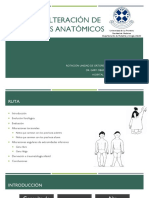 Seminario Alteracion Ejes Anatomicos TMT Inf