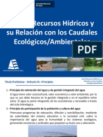 caudal_ecologico_0.pdf
