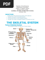 Handouts in skeletal system