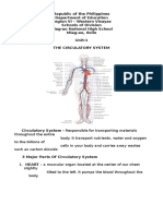 Handouts in Circulatory System