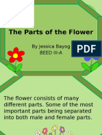 The Parts of the Flower Jessica ED6