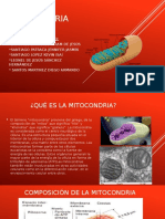 Mitocondria XD