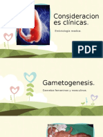 Consideraciones Clinicas Embriologia General