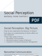 Social Perception