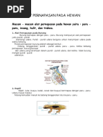 Download Alat Pernapasan Pada Hewan by alice_dmc SN323807850 doc pdf