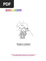Psicomotor Por Edad
