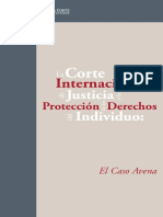 LIBRO CASO AVENA_0.pdf