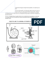 Flujo Radial Hacia Afuera 