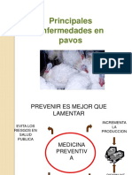 103711284-enfermedades-pavos.pdf